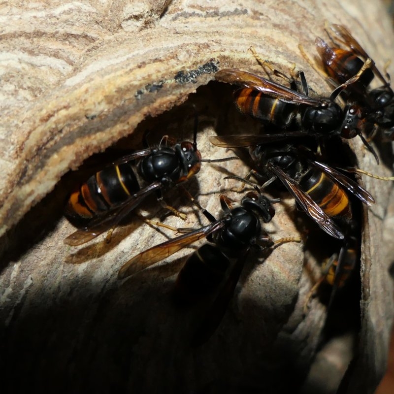 Interaktivní výstava